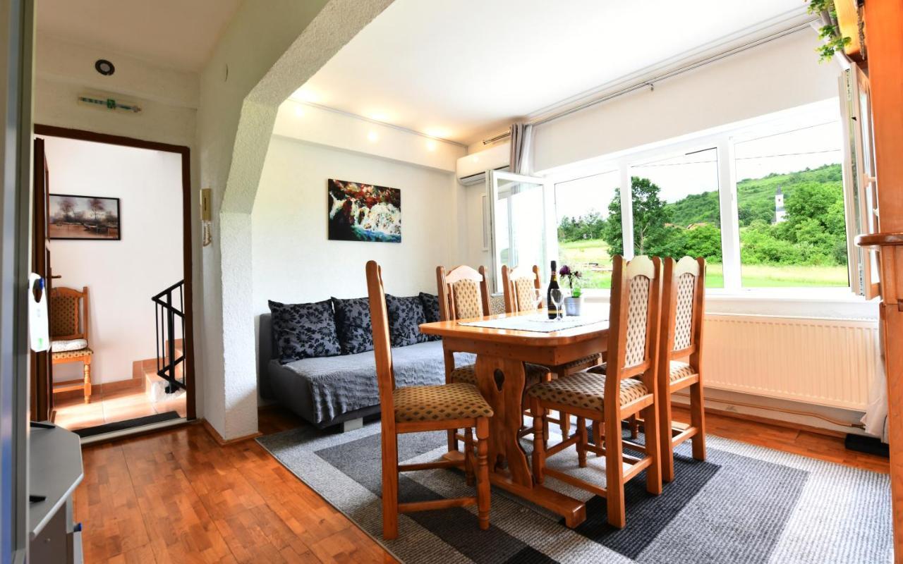 Apartment Marija Zupan Раковица Экстерьер фото